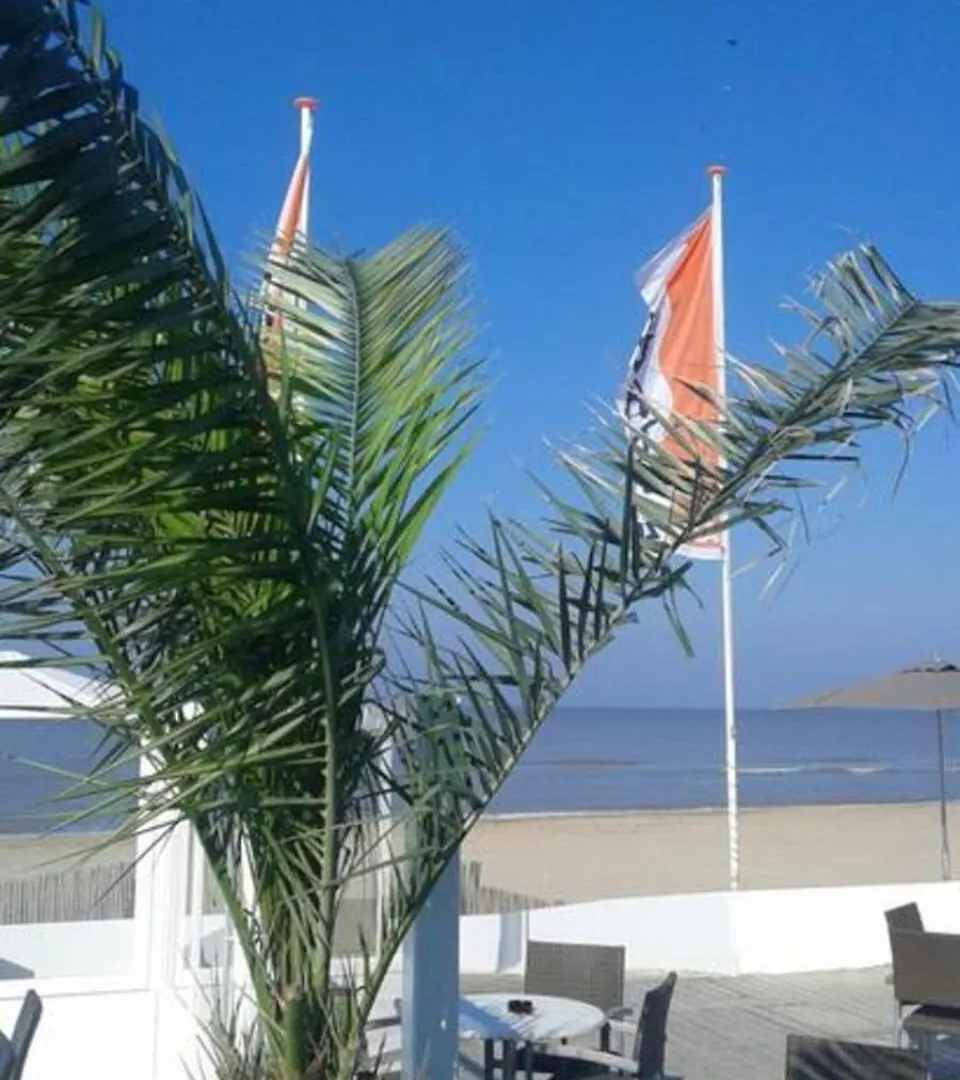 Sunny Spacious Apartment De Bijenkorf Zandvoort